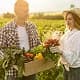 Blog Post